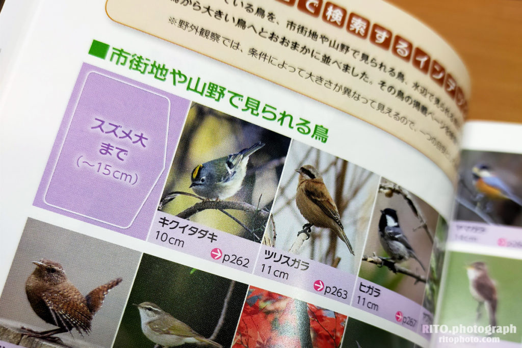 野鳥撮影の為の本「ぱっと見わけ観察を楽しむ 野鳥図鑑」を購入&レビュー - RITOPHOTO